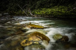 Downstream, Routeburn Track, NZ - Steve Rutherford Landscape Photography Art Gallery