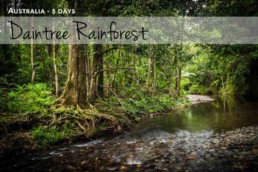 Daintree Rainforest Photography Workshop - Steve Rutherford Landscape Photography Art Gallery